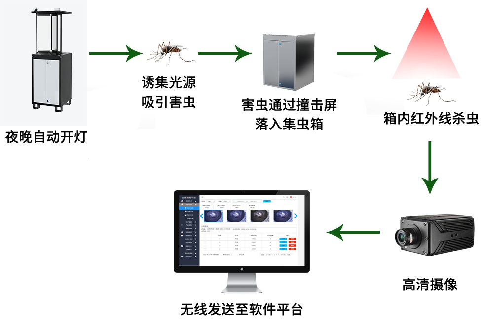 太陽(yáng)能蟲情測(cè)報(bào)燈